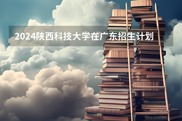 2024陕西科技大学在广东招生计划表