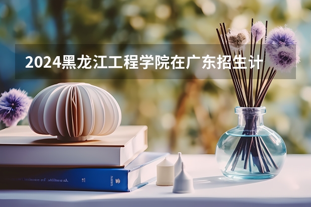2024黑龙江工程学院在广东招生计划表