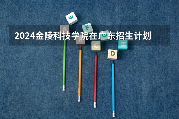 2024金陵科技学院在广东招生计划表