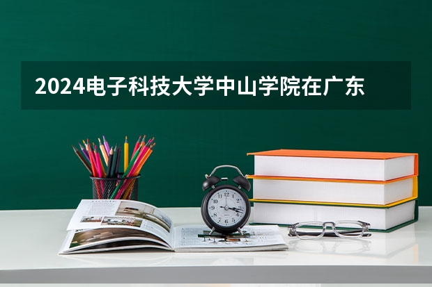 2024电子科技大学中山学院在广东招生计划表