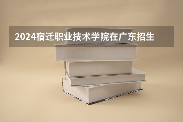 2024宿迁职业技术学院在广东招生计划表