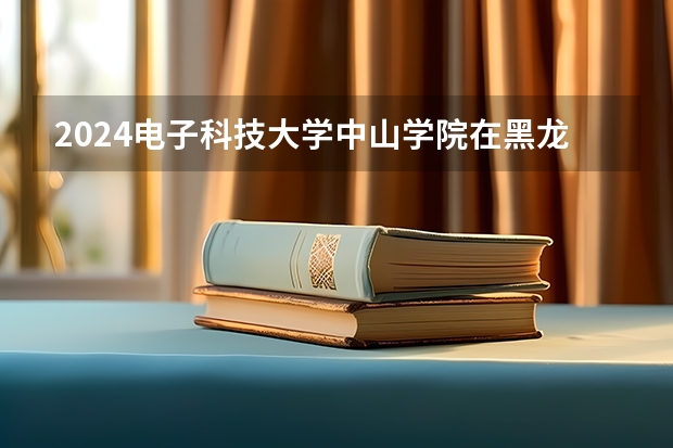 2024电子科技大学中山学院在黑龙江招生计划表