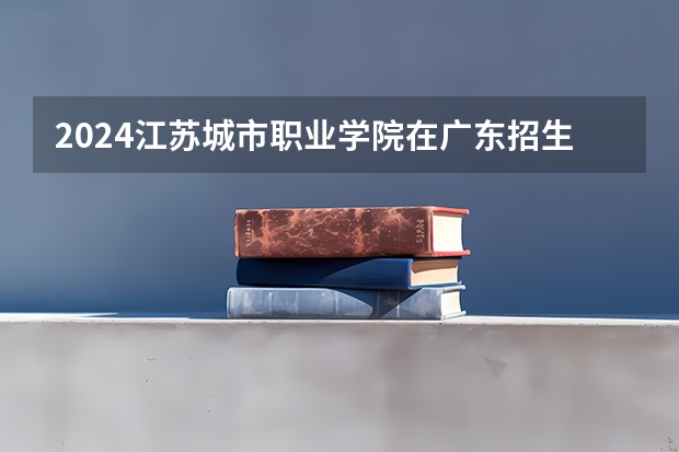 2024江苏城市职业学院在广东招生计划表