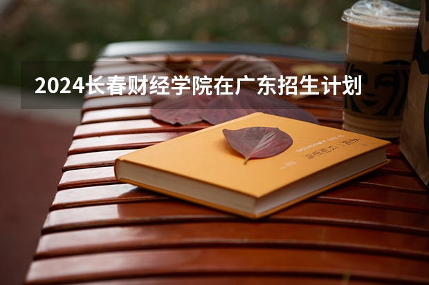 2024长春财经学院在广东招生计划表