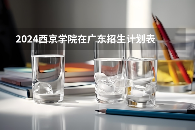 2024西京学院在广东招生计划表