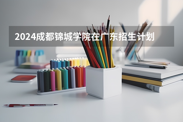 2024成都锦城学院在广东招生计划表