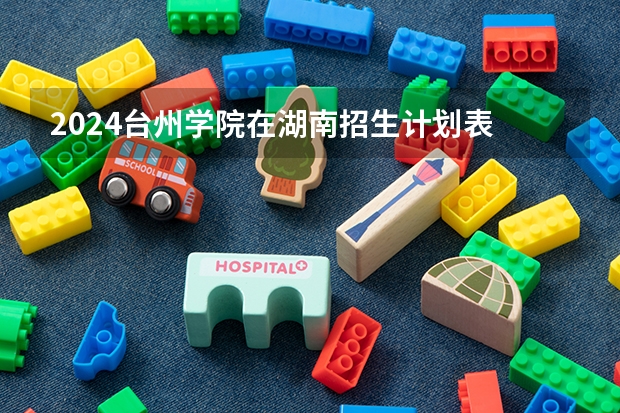2024台州学院在湖南招生计划表