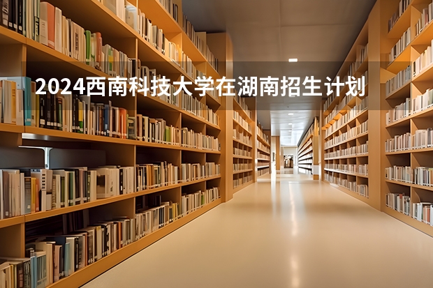 2024西南科技大学在湖南招生计划表