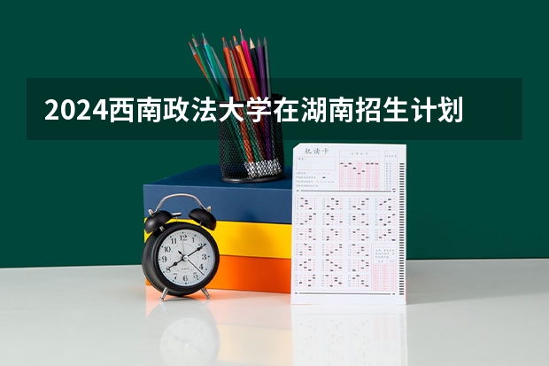 2024西南政法大学在湖南招生计划表