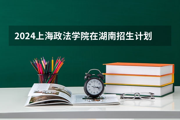 2024上海政法学院在湖南招生计划表