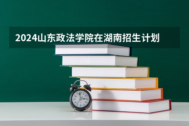 2024山东政法学院在湖南招生计划表