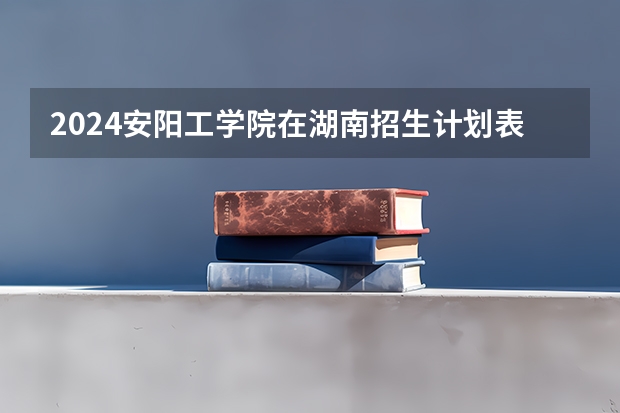 2024安阳工学院在湖南招生计划表