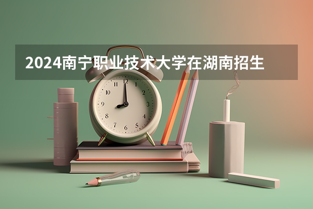 2024南宁职业技术大学在湖南招生计划表