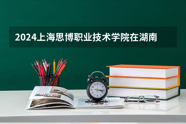 2024上海思博职业技术学院在湖南招生计划表