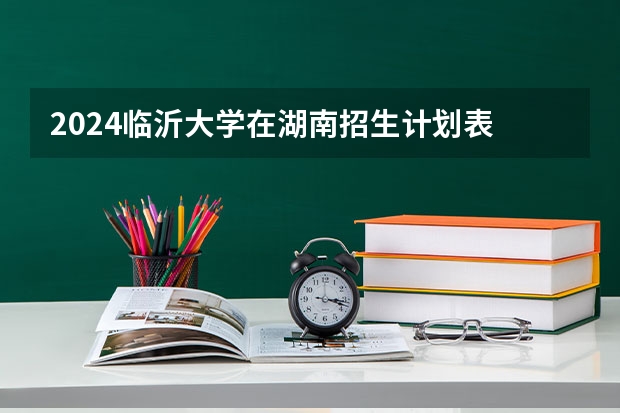 2024临沂大学在湖南招生计划表