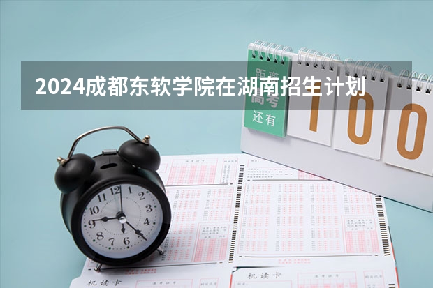 2024成都东软学院在湖南招生计划表