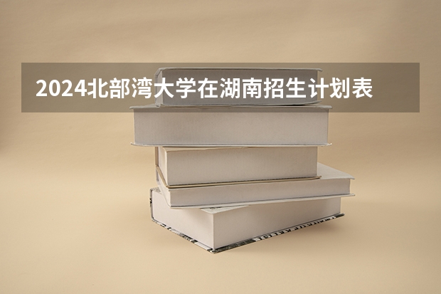 2024北部湾大学在湖南招生计划表