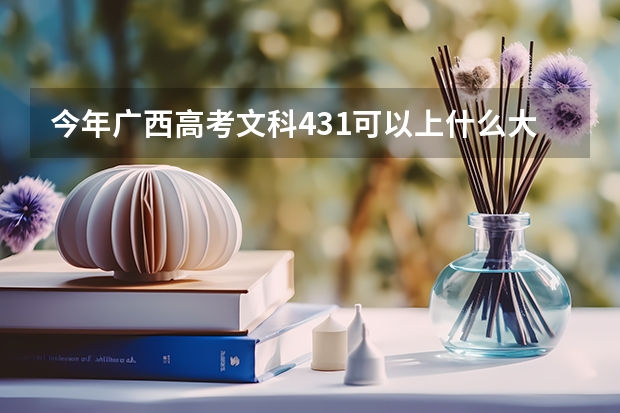 今年广西高考文科431可以上什么大学