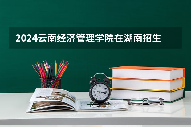 2024云南经济管理学院在湖南招生计划表