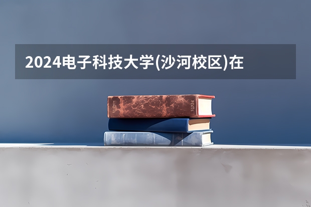 2024电子科技大学(沙河校区)在湖南招生计划表