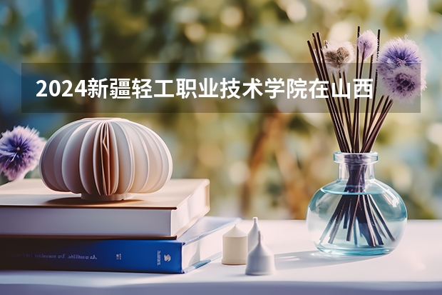 2024新疆轻工职业技术学院在山西招生计划表
