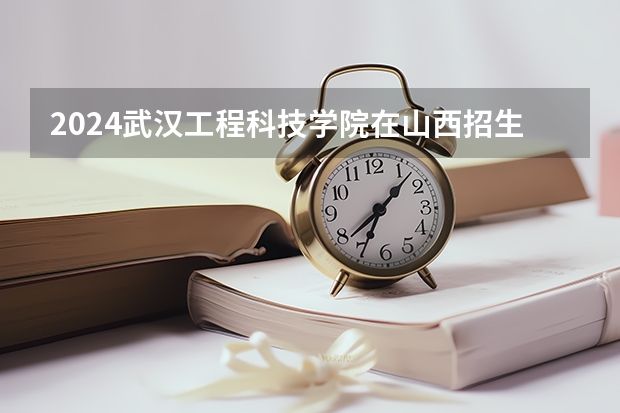 2024武汉工程科技学院在山西招生计划表