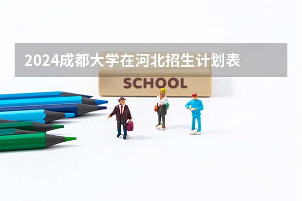 2024成都大学在河北招生计划表