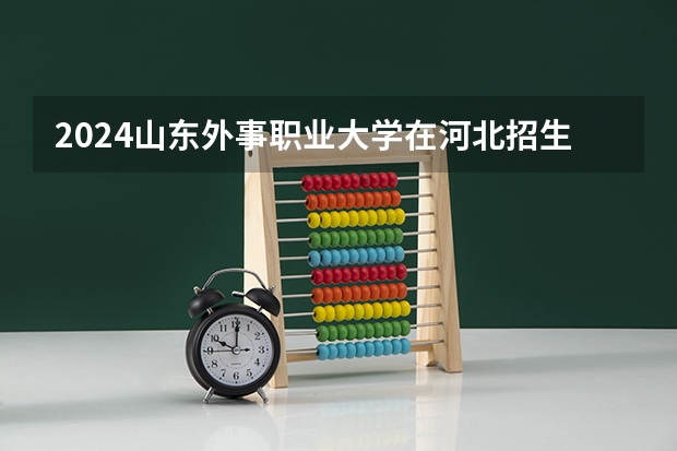 2024山东外事职业大学在河北招生计划表