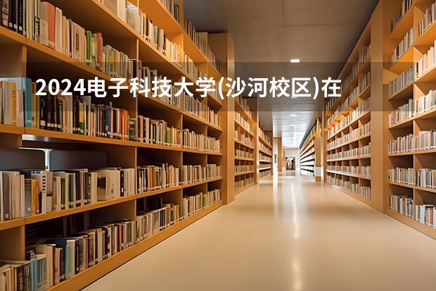 2024电子科技大学(沙河校区)在山西招生计划表