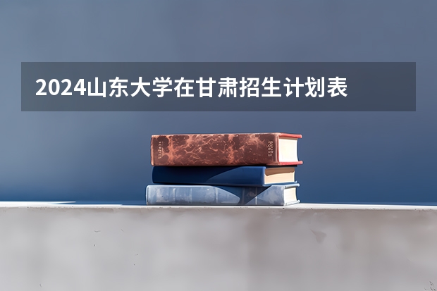 2024山东大学在甘肃招生计划表