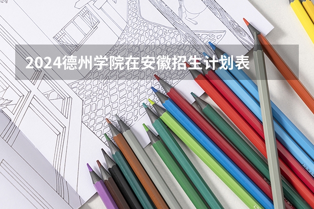 2024德州学院在安徽招生计划表