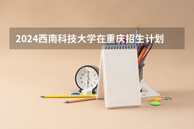 2024西南科技大学在重庆招生计划表