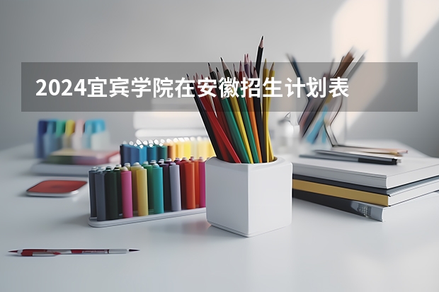 2024宜宾学院在安徽招生计划表