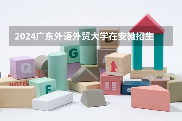 2024广东外语外贸大学在安徽招生计划表