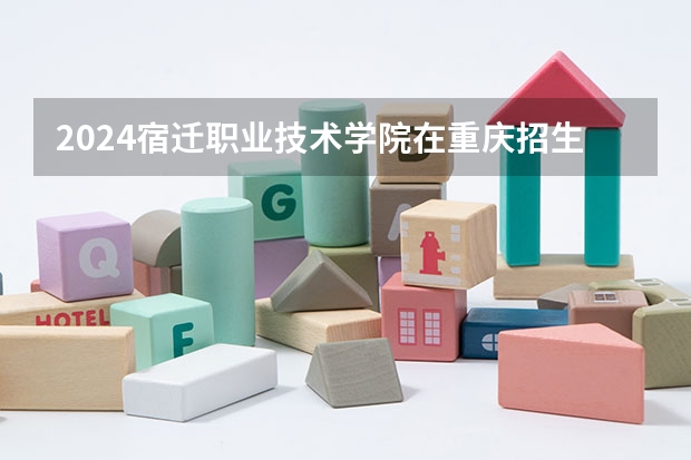2024宿迁职业技术学院在重庆招生计划表