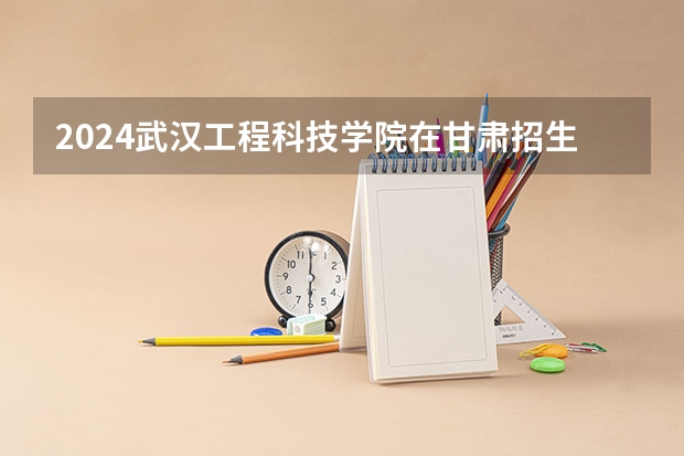 2024武汉工程科技学院在甘肃招生计划表