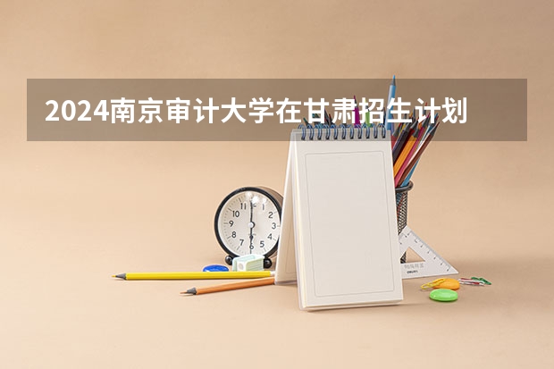 2024南京审计大学在甘肃招生计划表