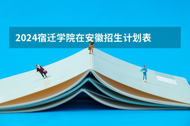2024宿迁学院在安徽招生计划表