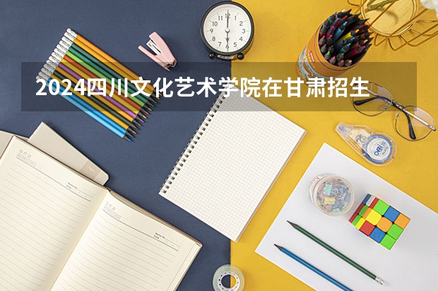 2024四川文化艺术学院在甘肃招生计划表