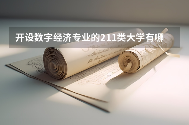 开设数字经济专业的211类大学有哪些