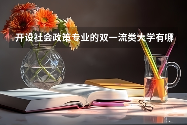 开设社会政策专业的双一流类大学有哪些