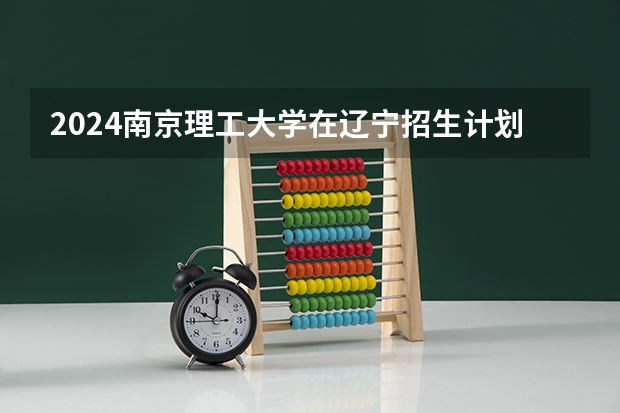 2024南京理工大学在辽宁招生计划表