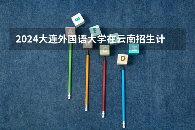 2024大连外国语大学在云南招生计划表