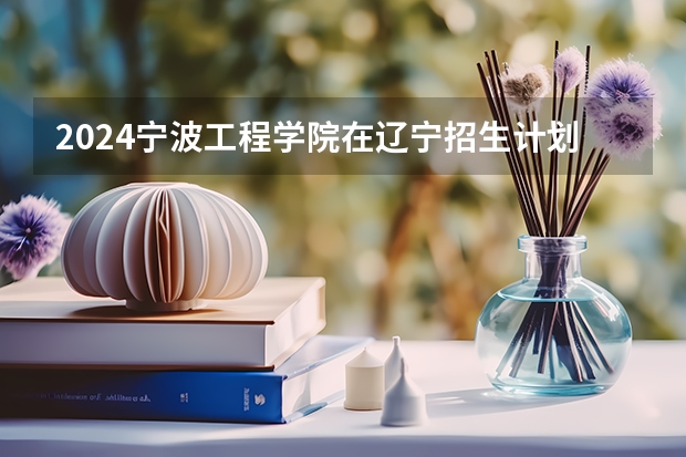 2024宁波工程学院在辽宁招生计划表