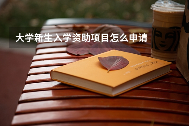 大学新生入学资助项目怎么申请