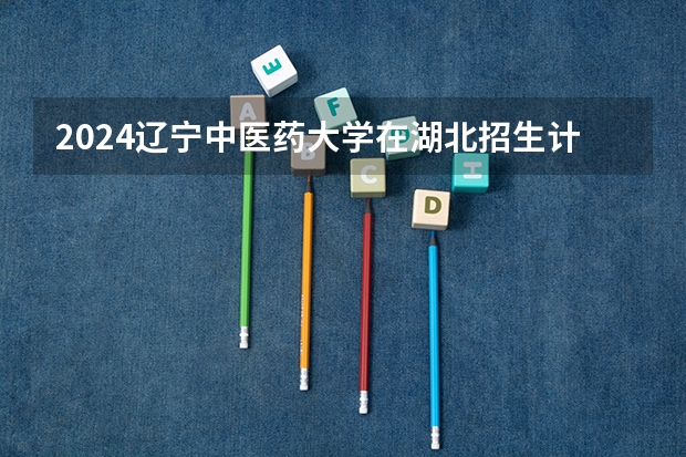 2024辽宁中医药大学在湖北招生计划表