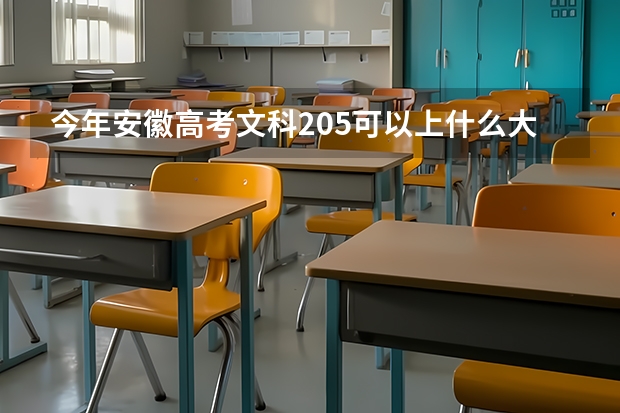 今年安徽高考文科205可以上什么大学