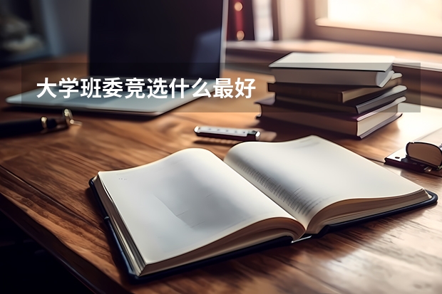 大学班委竞选什么最好