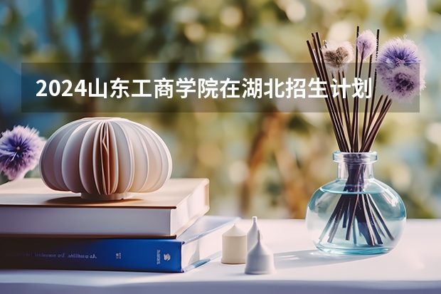 2024山东工商学院在湖北招生计划表
