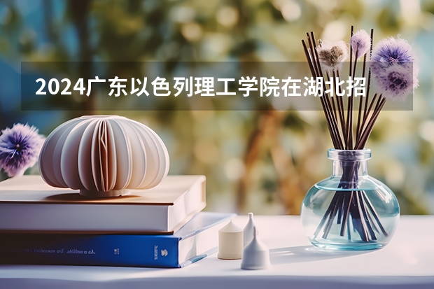2024广东以色列理工学院在湖北招生计划表